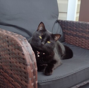 Fundraising Page: Andrea Gladue